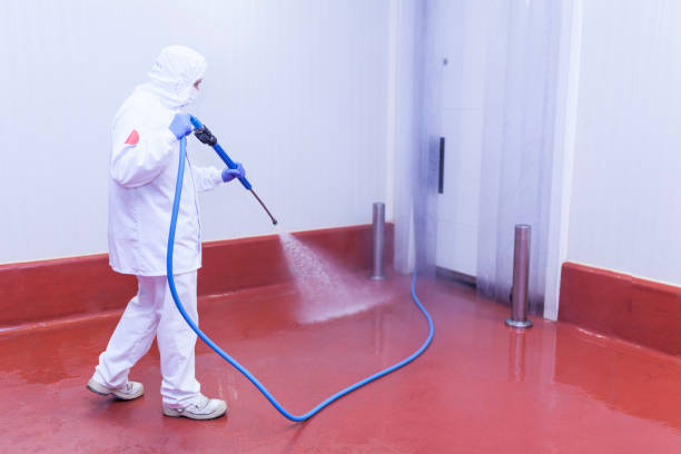 Best Paint Preparation  in Avenel, NJ